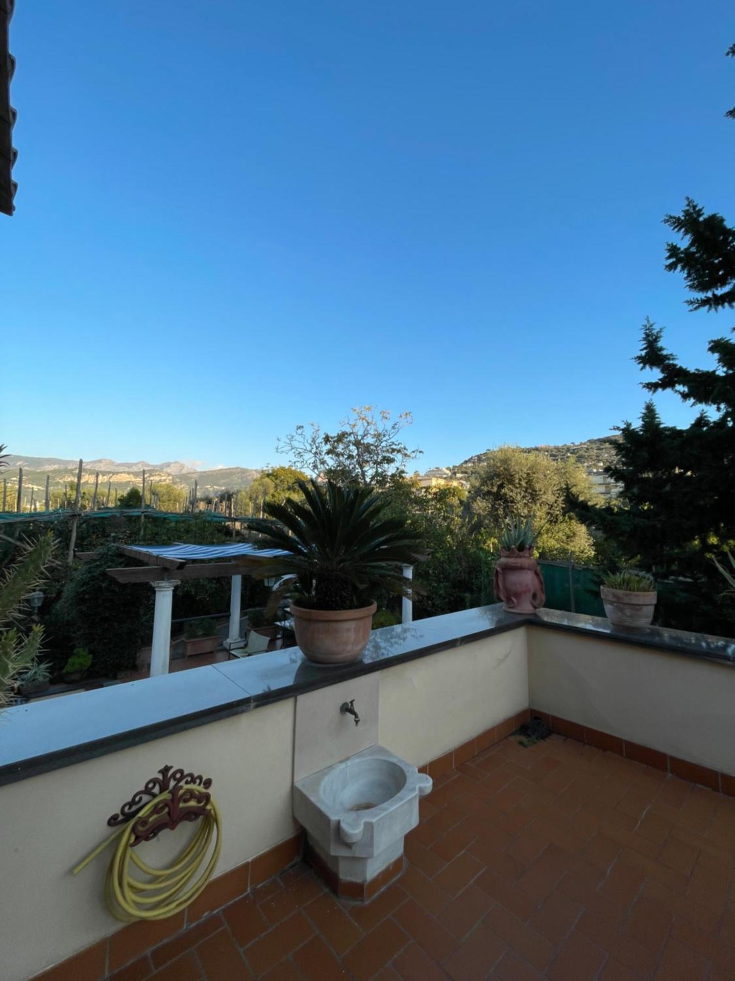 Domus Felix Bed & Breakfast Sorrento Bagian luar foto