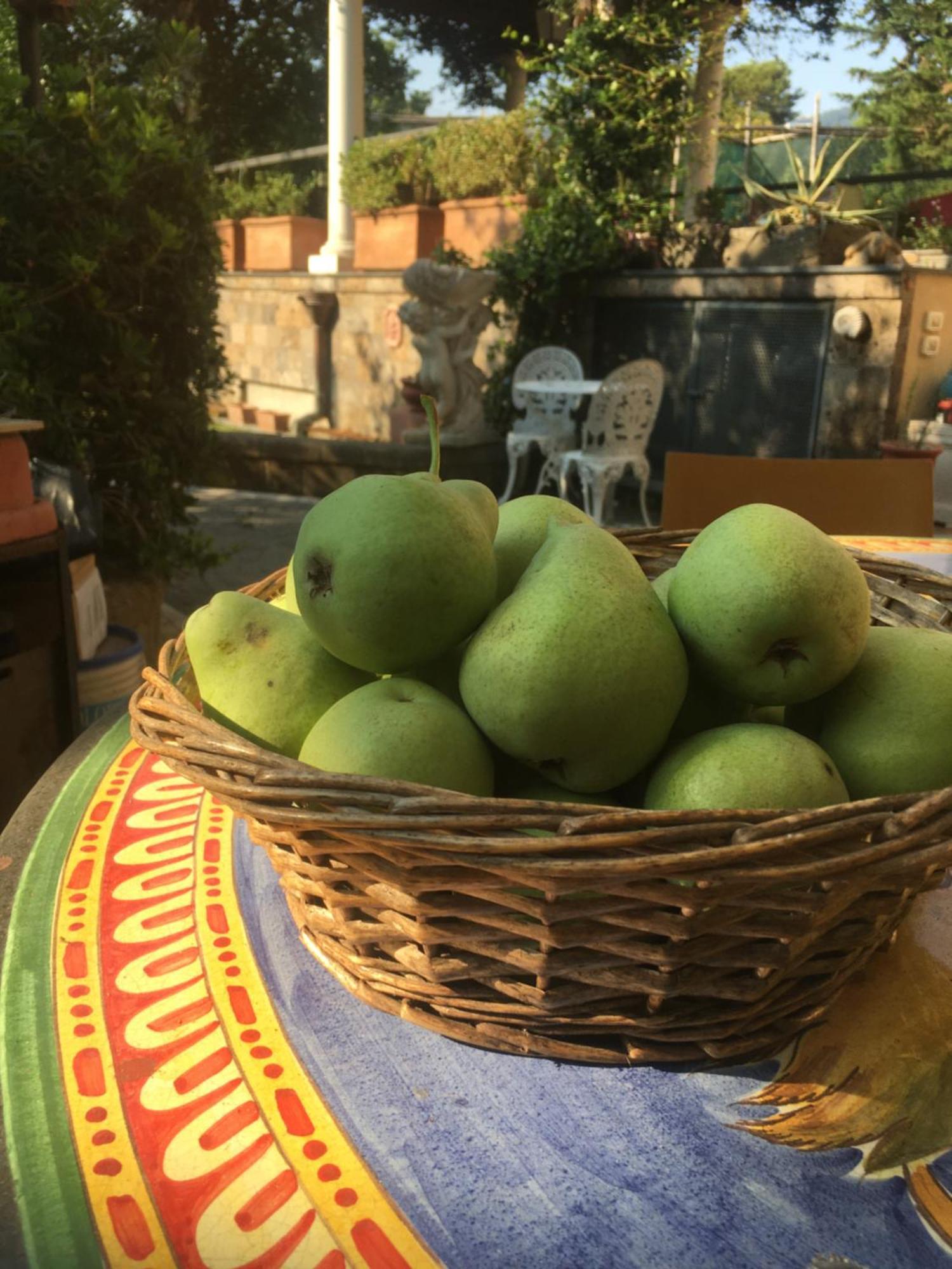 Domus Felix Bed & Breakfast Sorrento Bagian luar foto