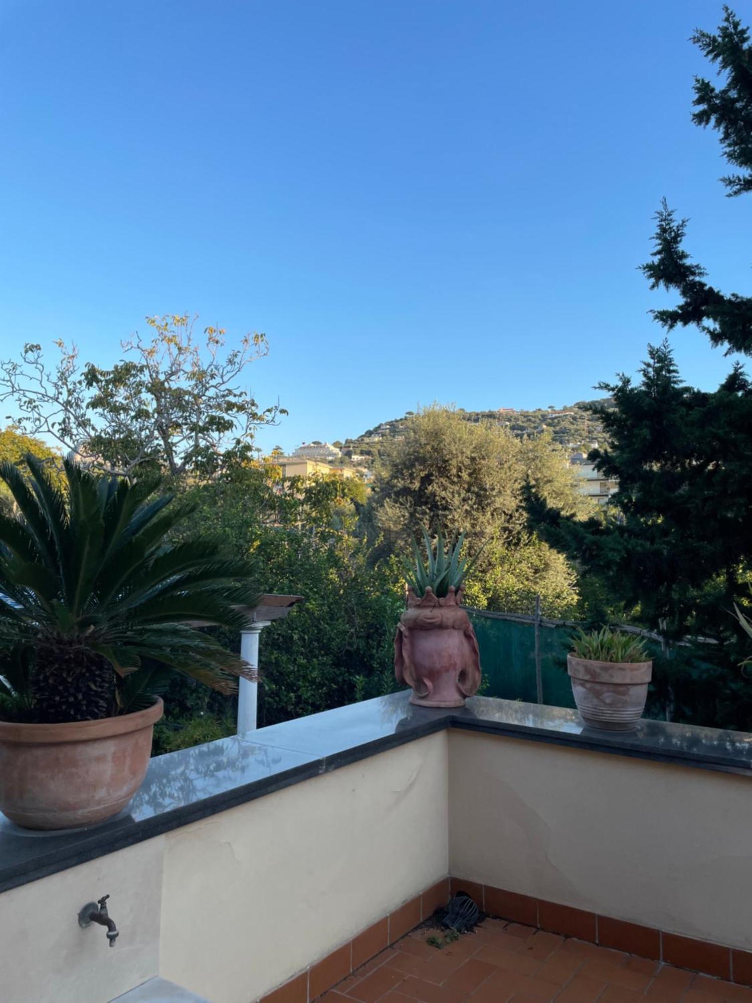 Domus Felix Bed & Breakfast Sorrento Bagian luar foto