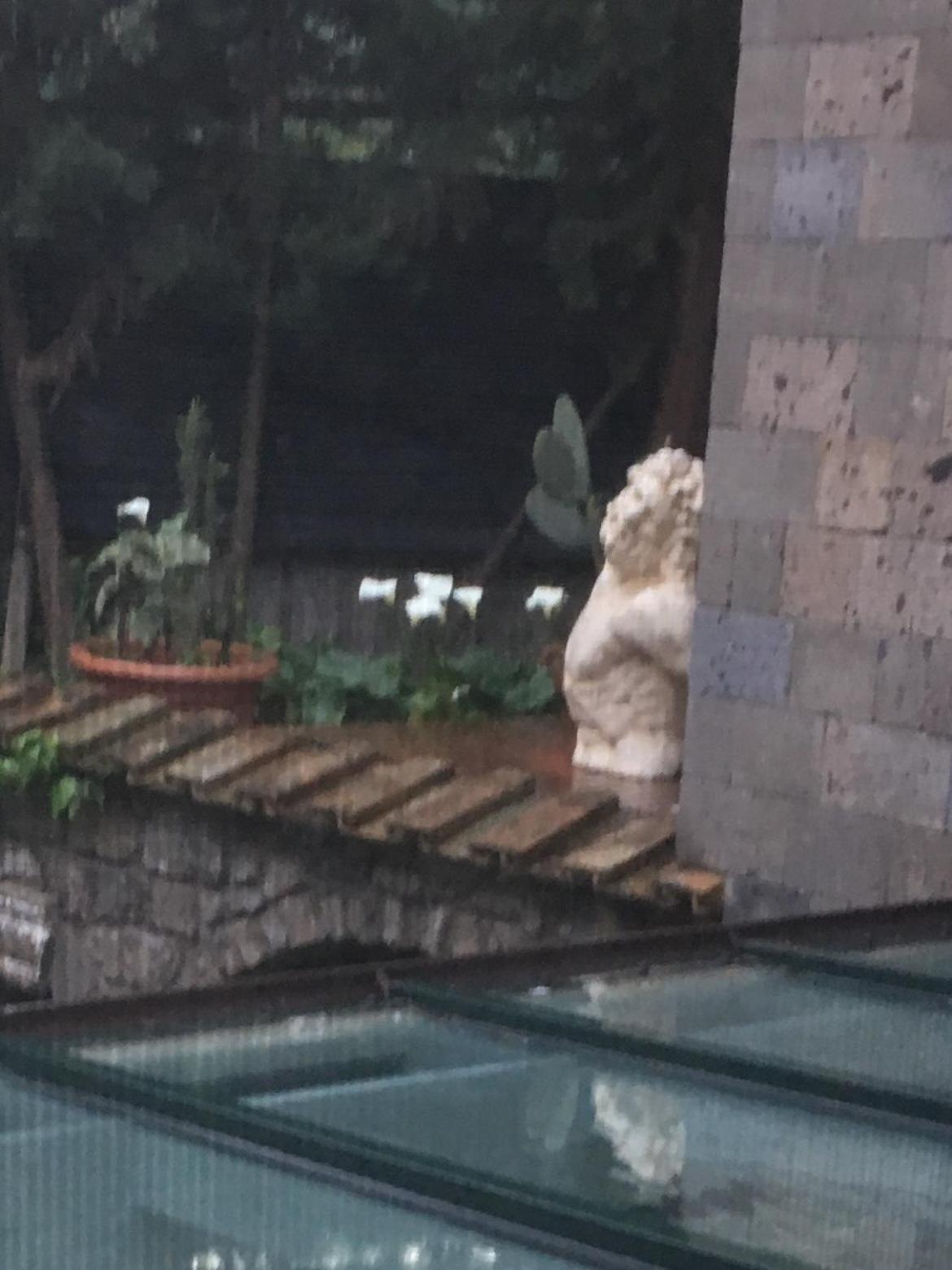 Domus Felix Bed & Breakfast Sorrento Bagian luar foto