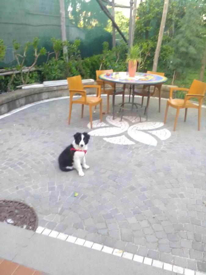 Domus Felix Bed & Breakfast Sorrento Bagian luar foto